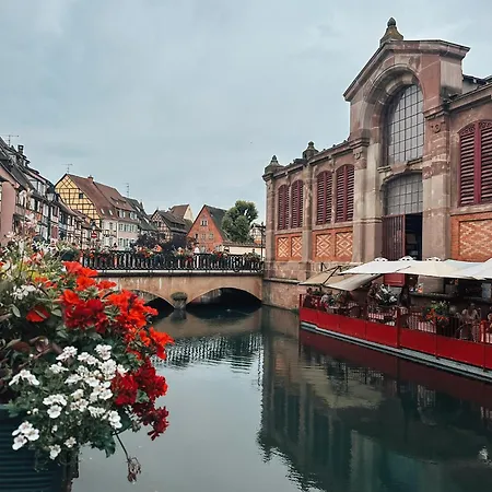 Pastel Au Grenier A Sel *