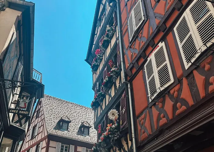 Daire Pastel Au Grenier A Sel Colmar